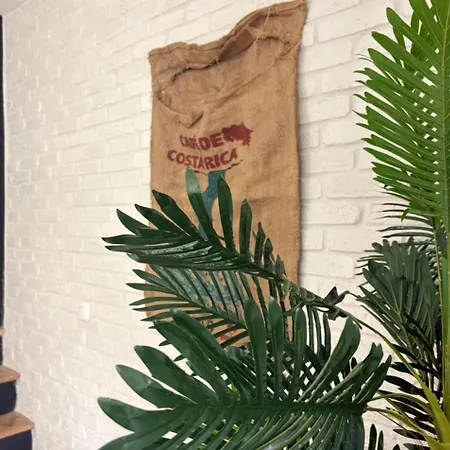 La Casa Costa Rica - Terrasse , Cinema & Parking * بوتون